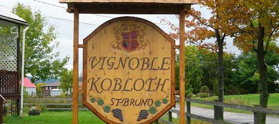 Vignoble Kobloth à St Bruno