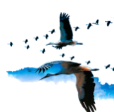 migration.png