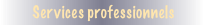 Services professionnels